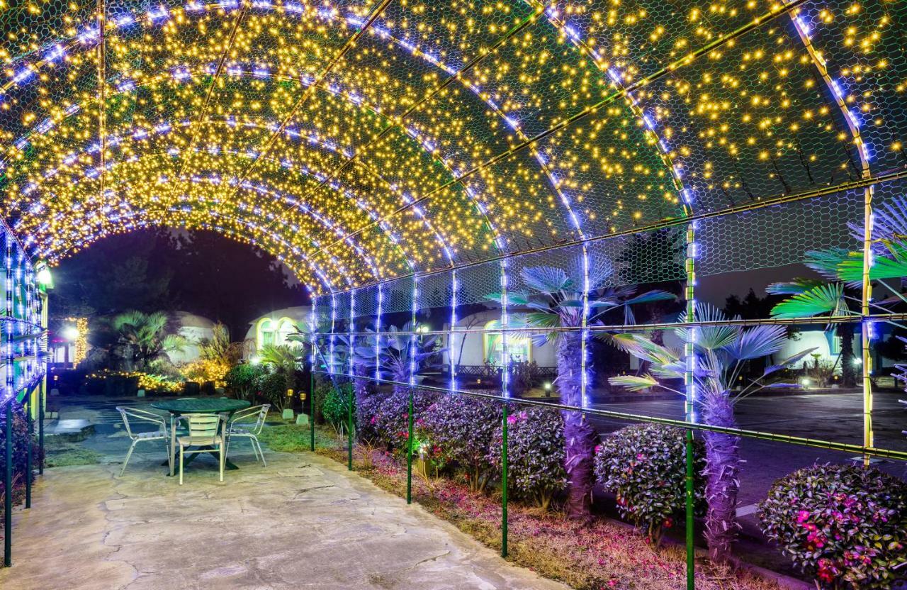 Domgrami Pension Seogwipo Dış mekan fotoğraf
